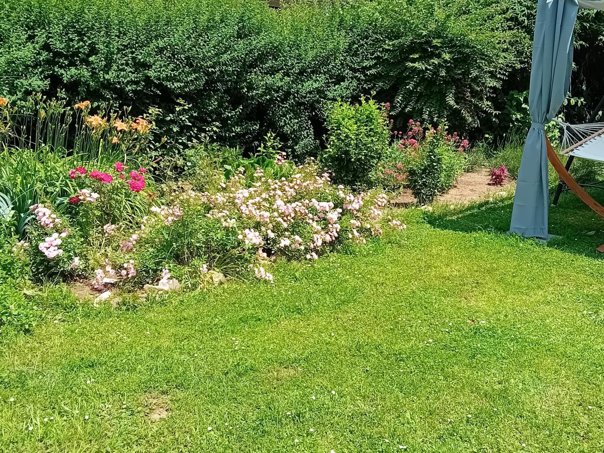 Apartment Baci For 4 Guests Lublana Zewnętrze zdjęcie