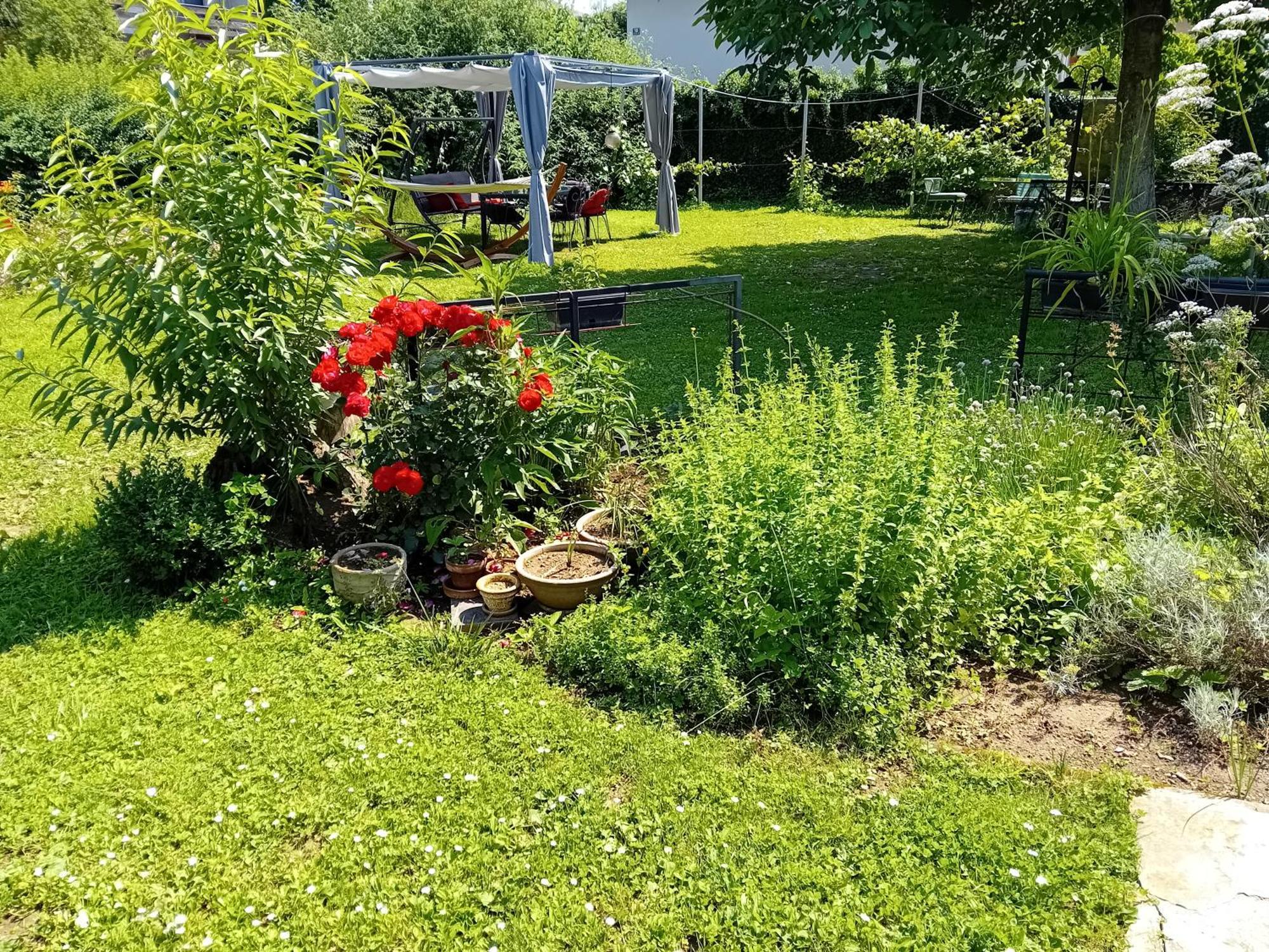 Apartment Baci For 4 Guests Lublana Zewnętrze zdjęcie