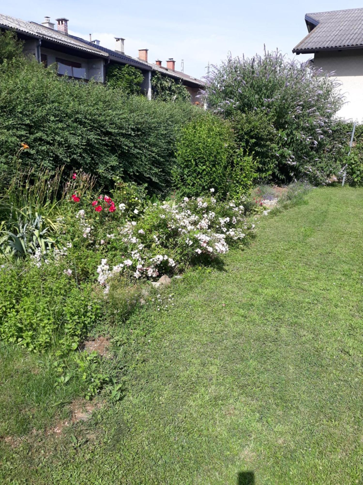 Apartment Baci For 4 Guests Lublana Zewnętrze zdjęcie