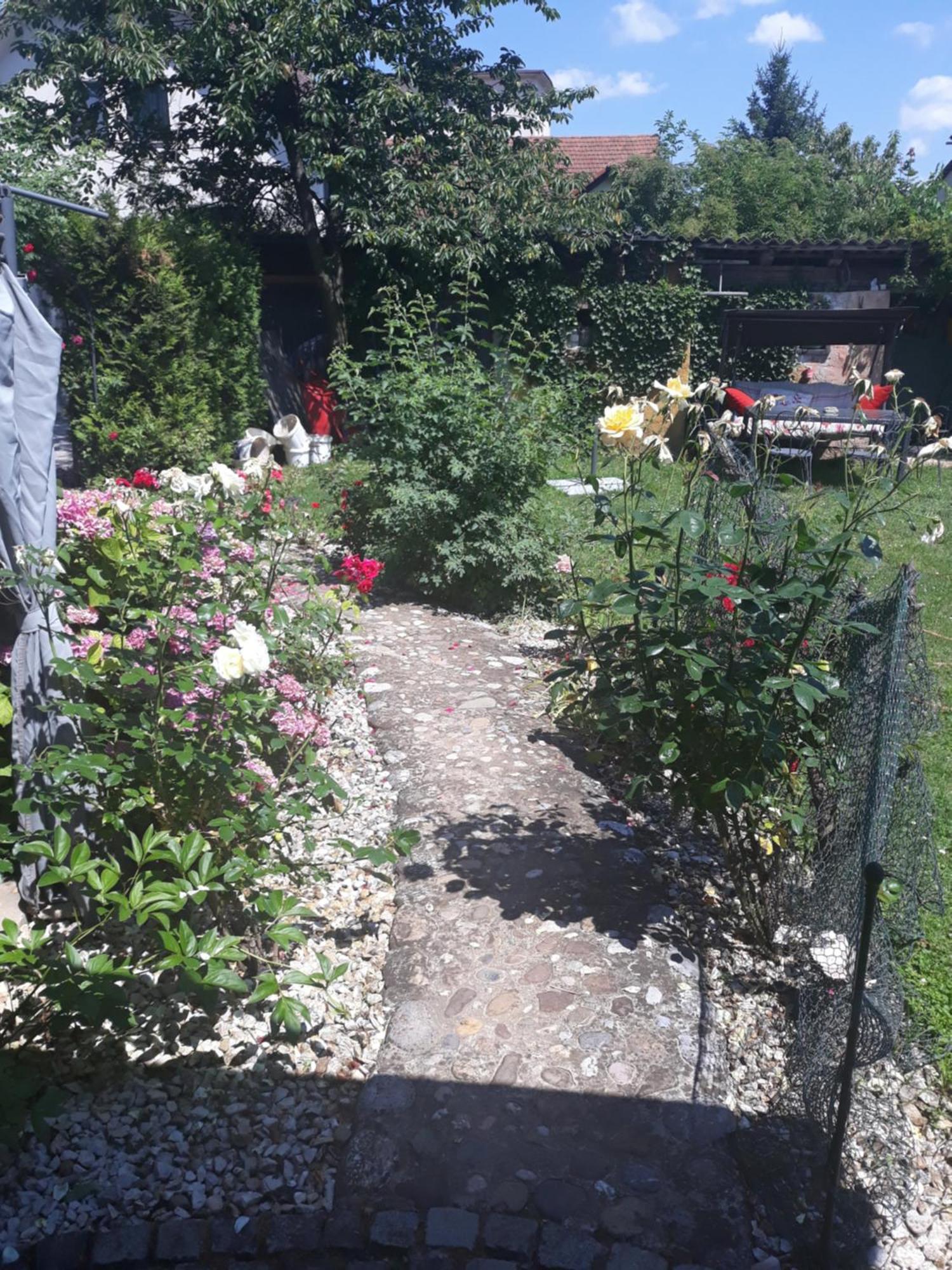 Apartment Baci For 4 Guests Lublana Zewnętrze zdjęcie